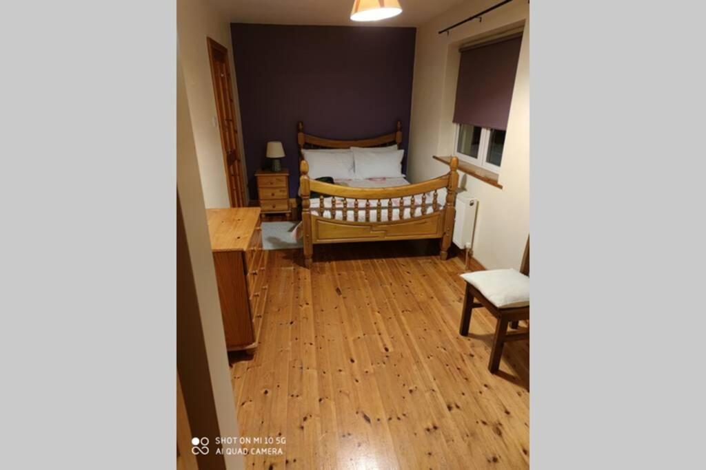 Townhouse 3 Barrow Lane Villa Bagenalstown Kültér fotó