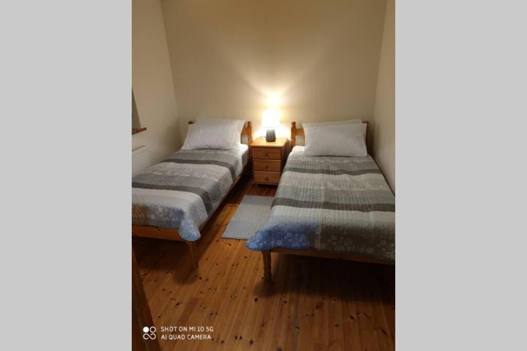 Townhouse 3 Barrow Lane Villa Bagenalstown Kültér fotó