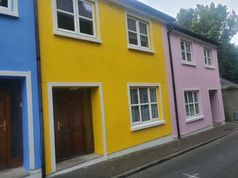 Townhouse 3 Barrow Lane Villa Bagenalstown Kültér fotó